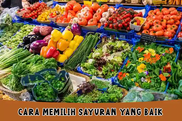 Cara Memilih Sayuran yang Baik, Segar dan Sehat