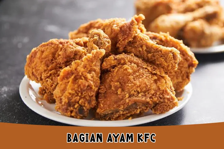 Bagian Ayam KFC Dalam Bahasa Inggris dan Bagian yang Banyak Dagingnya