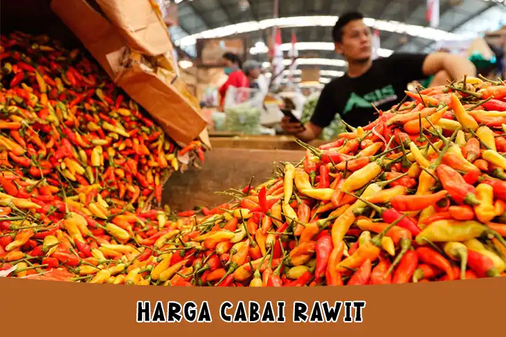 Harga Cabai Rawit Hijau dan Merah Per Kg Hari Ini