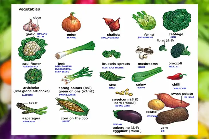 Nama Sayuran Dalam Bahasa Inggris dan Indonesia