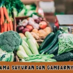 Nama Sayuran dan Gambarnya