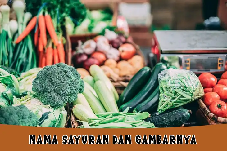 Nama Sayuran dan Gambarnya