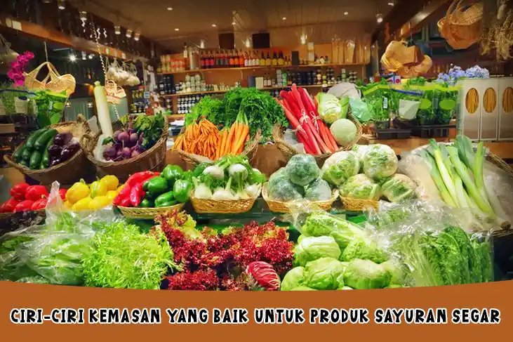 Persyaratan dan Ciri Ciri Kemasan yang Baik Untuk Produk Sayuran Segar