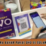 Cara Bayar Pakai OVO di Solaria