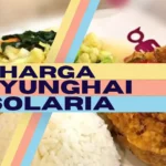 Harga Fuyunghai Solaria