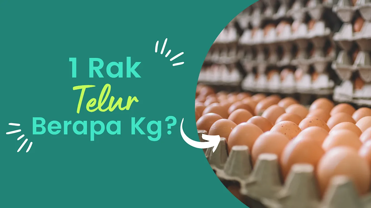 1 Rak Telur Berapa Kg